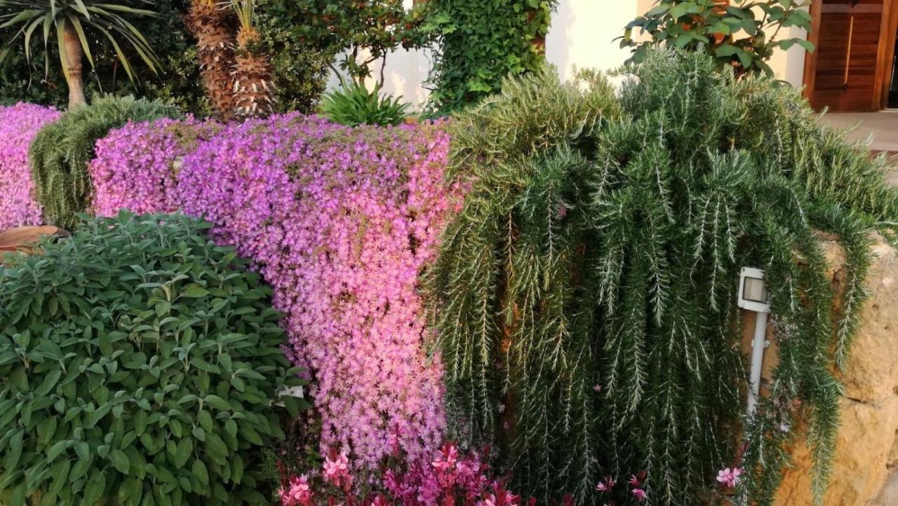 Villa Castiglione 쿠스토나치 외부 사진